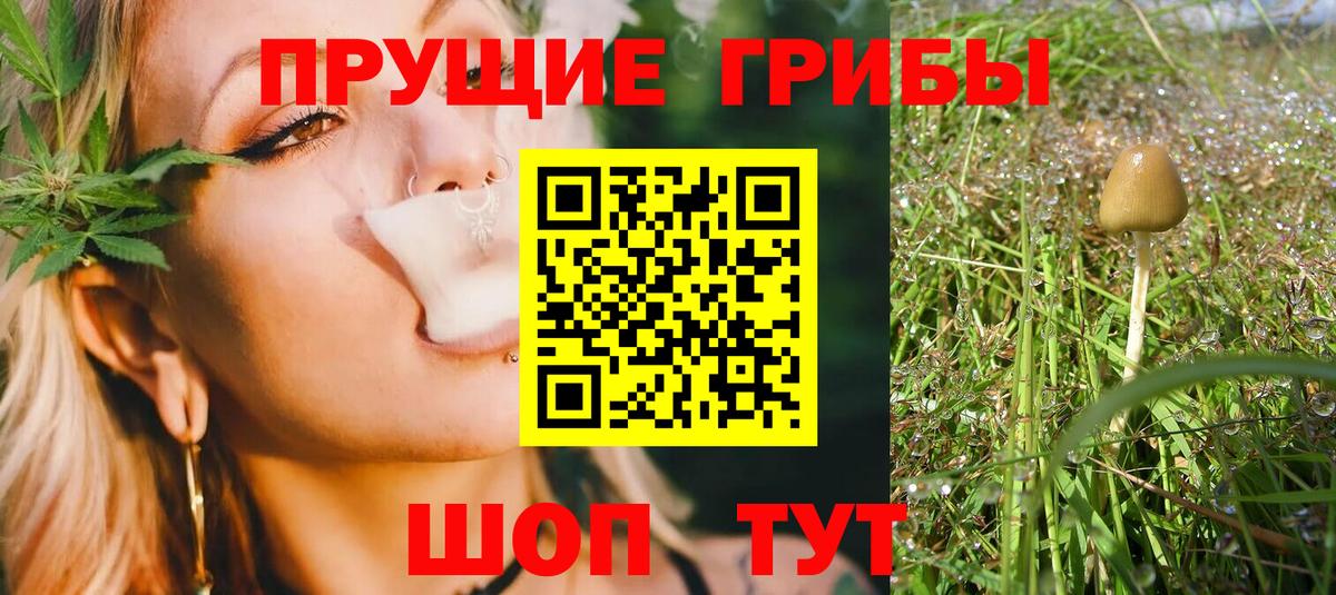 Галлюциногенные грибы Psilocybine cubensis Воткинск